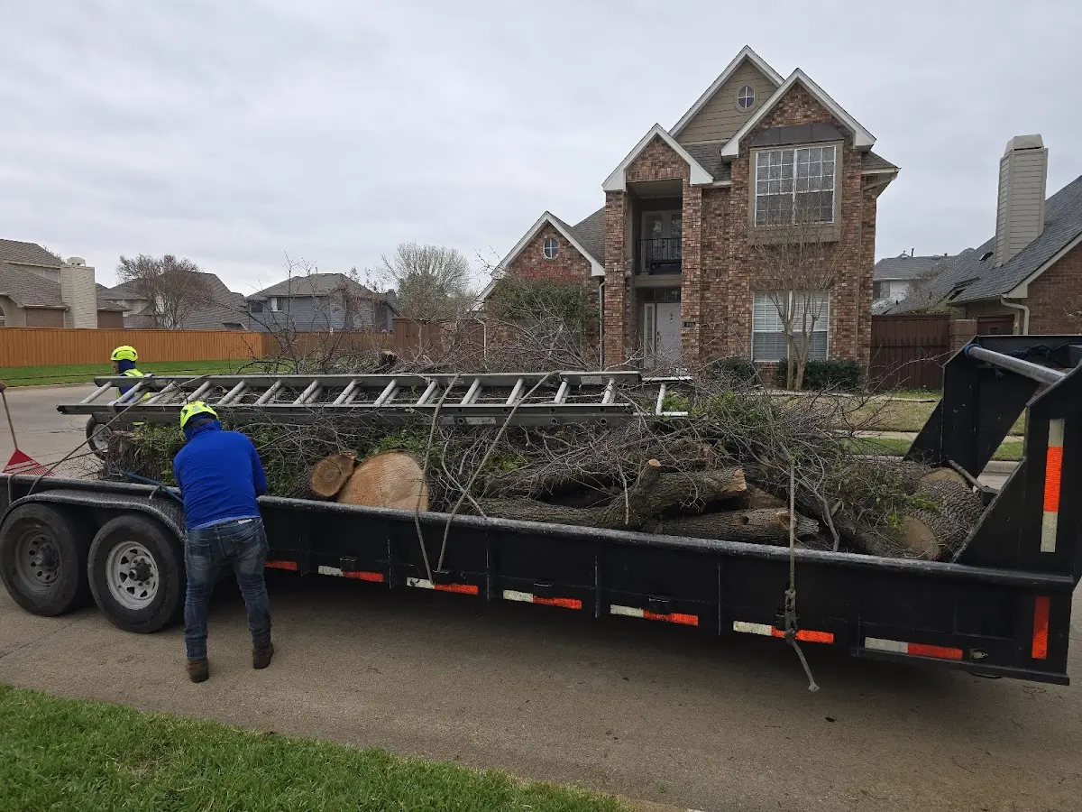 Expert Tree Pest Control with proper safety equipment in Pennock